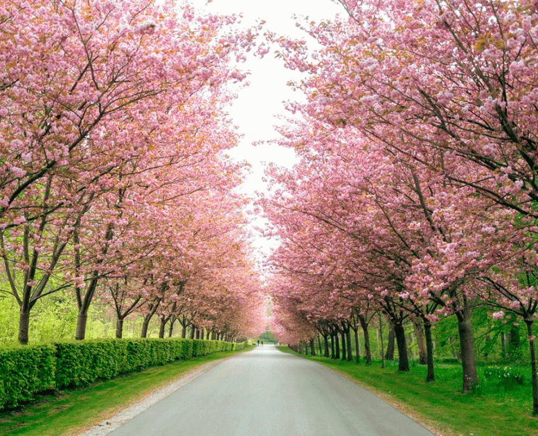 Forår Gavnø