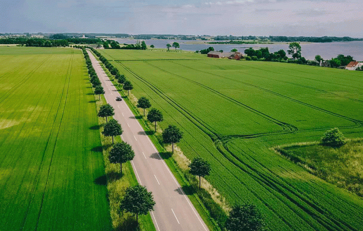 Møn Bogø